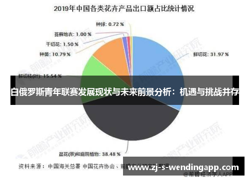 白俄罗斯青年联赛发展现状与未来前景分析：机遇与挑战并存