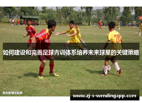 如何建设和完善足球青训体系培养未来球星的关键策略