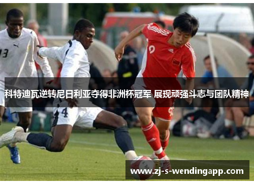 科特迪瓦逆转尼日利亚夺得非洲杯冠军 展现顽强斗志与团队精神 科特迪瓦逆转尼日利亚夺得非洲杯冠军 展现顽强斗志与团队精神