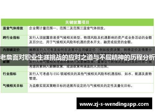 老詹面对职业生涯挑战的应对之道与不屈精神的历程分析 老詹面对职业生涯挑战的应对之道与不屈精神的历程分析