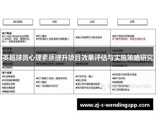 英超球员心理素质提升项目效果评估与实施策略研究