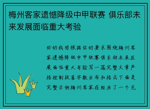 梅州客家遗憾降级中甲联赛 俱乐部未来发展面临重大考验
