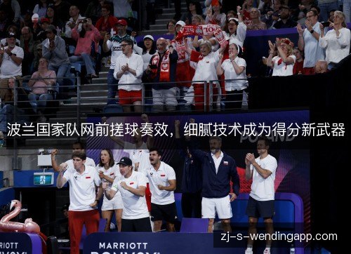 波兰国家队网前搓球奏效,细腻技术成为得分新武器 波兰国家队网前搓球奏效,细腻技术成为得分新武器